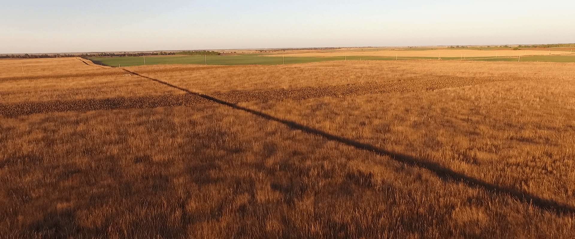 The Habitat at Upland Inn Hunts The Habitat at Upland Inn Hunts