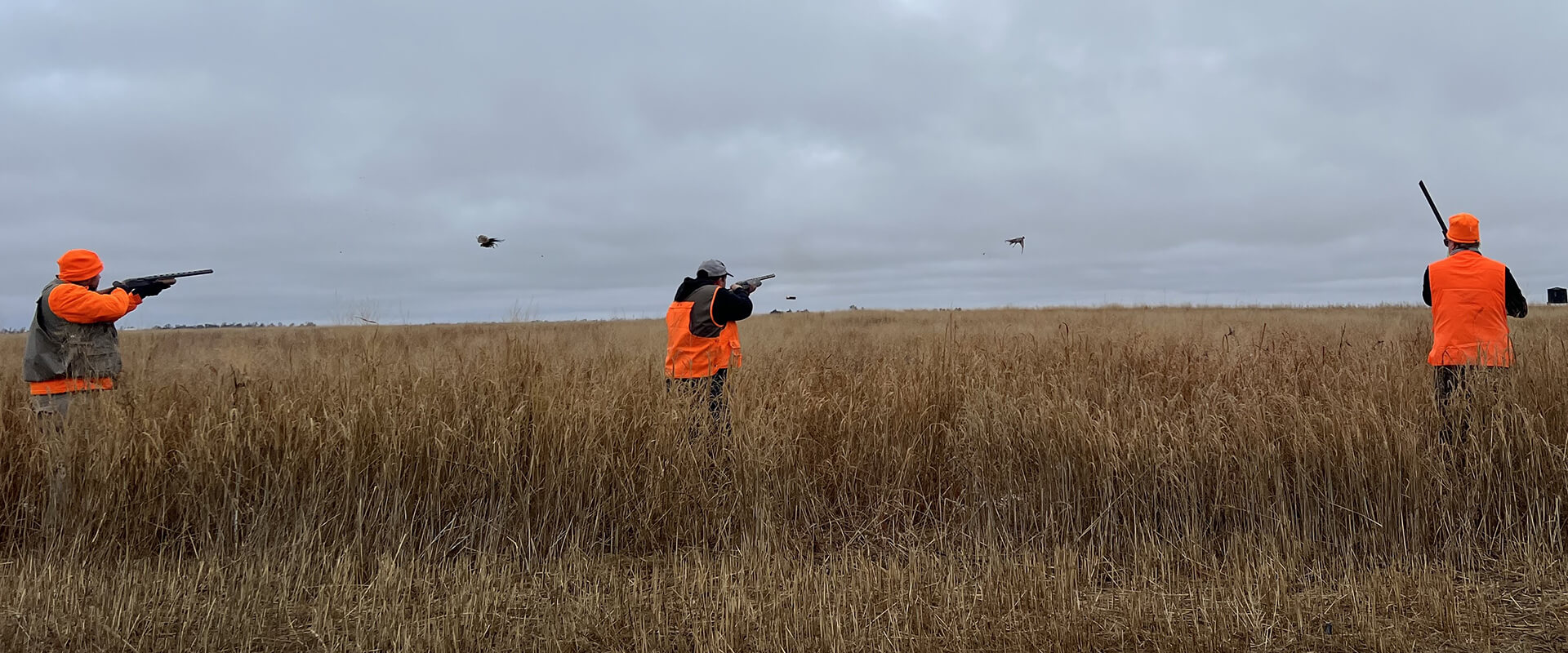 Upland Inn Hunts - Photo Gallery Upland Inn Hunts - Photo Gallery