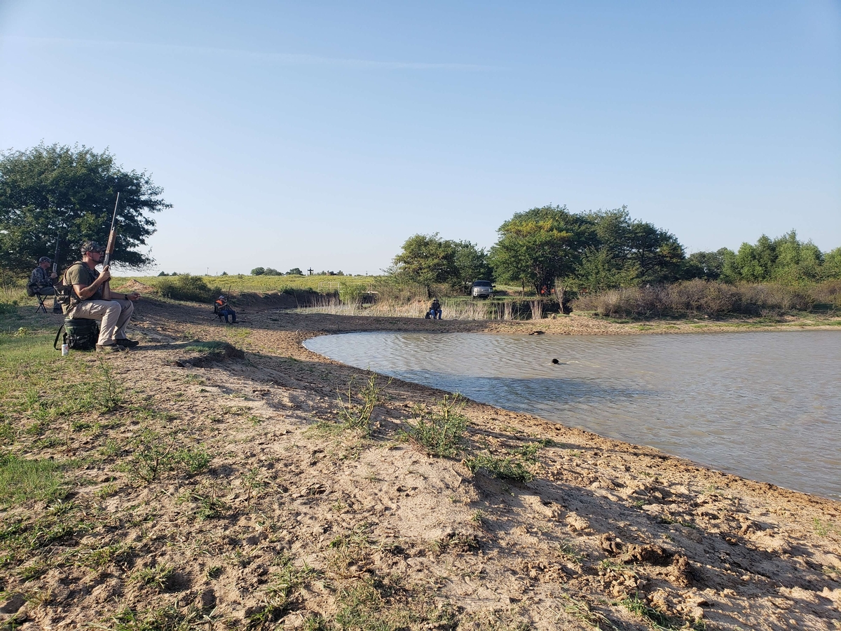 Dove Hunting Rates & Dates Dove Hunting Rates & Dates