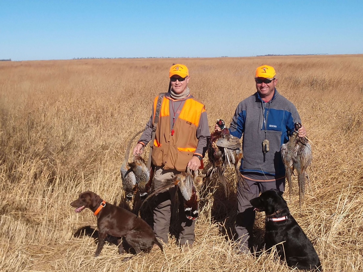 Our Pheasant Hunting Dogs Our Pheasant Hunting Dogs