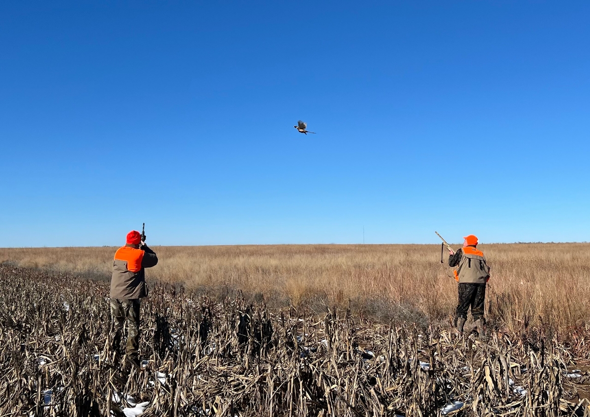 What's Included & Not Included What's Included & Not Included