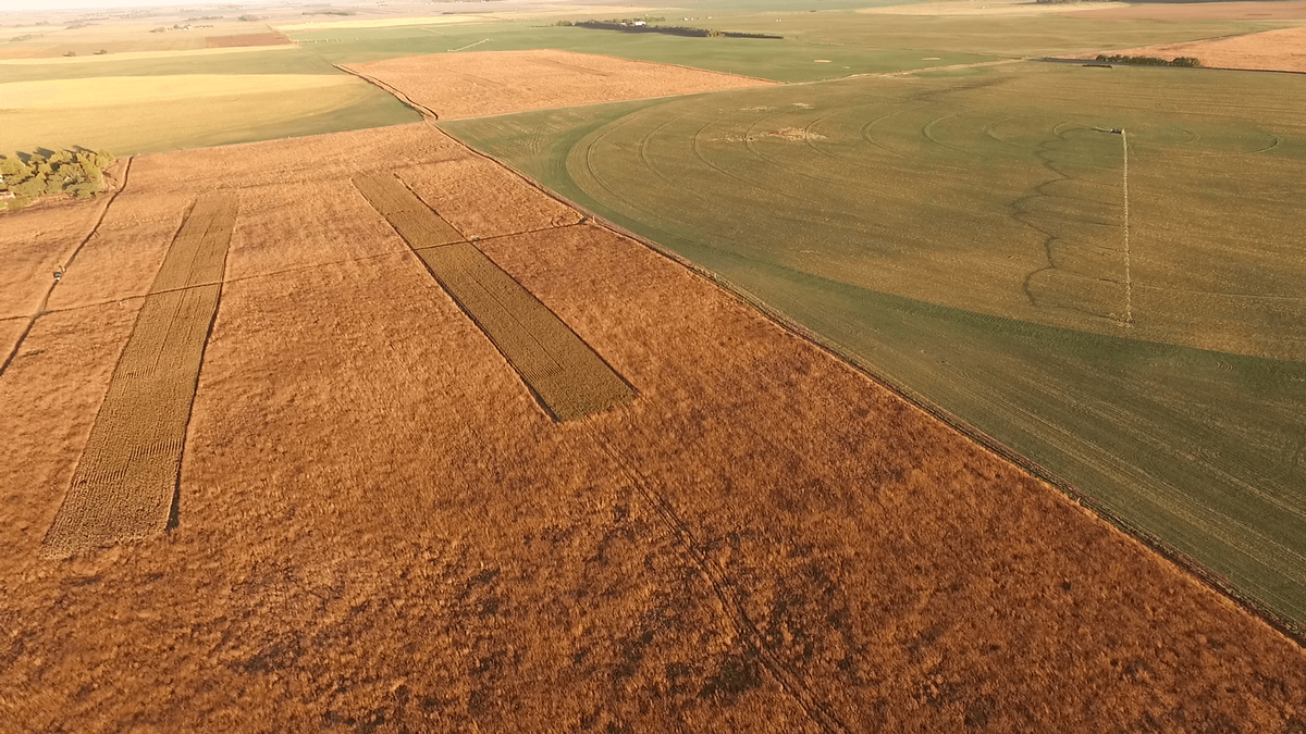 Our CRP Fields Our CRP Fields
