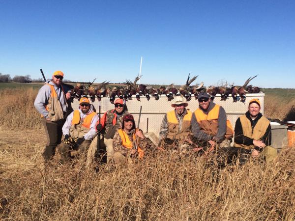 Upland Inn Hunts Pheasant Hunts Photo Gallery